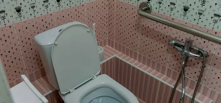 Meeting Diverse Needs With Accessible Restroom Solutions in North Chicago, IL